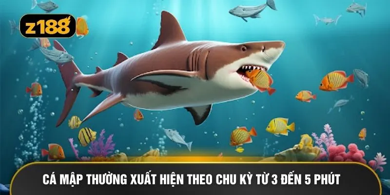 Cá mập thường xuất hiện theo chu kỳ từ 3 đến 5 phút 