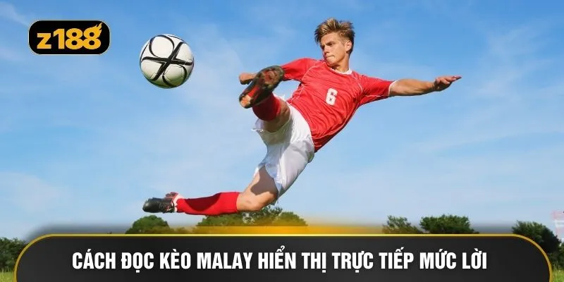 Cách đọc kèo Malay hiển thị trực tiếp mức lời 