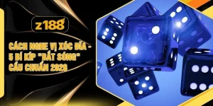 Cách Nghe Vị Xóc Đĩa - 5 Bí Kíp "Bắt Sóng" Cầu Chuẩn 2026