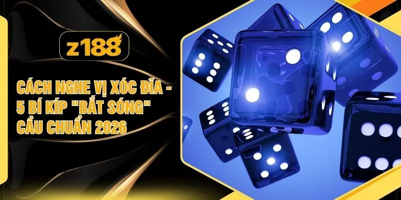 Cách Nghe Vị Xóc Đĩa - 5 Bí Kíp "Bắt Sóng" Cầu Chuẩn 2026