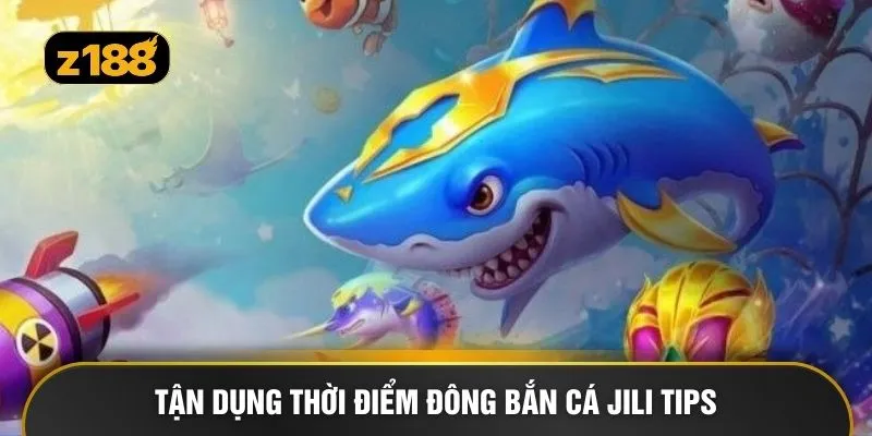 Tận dụng thời điểm đông bắn cá Jili Tips